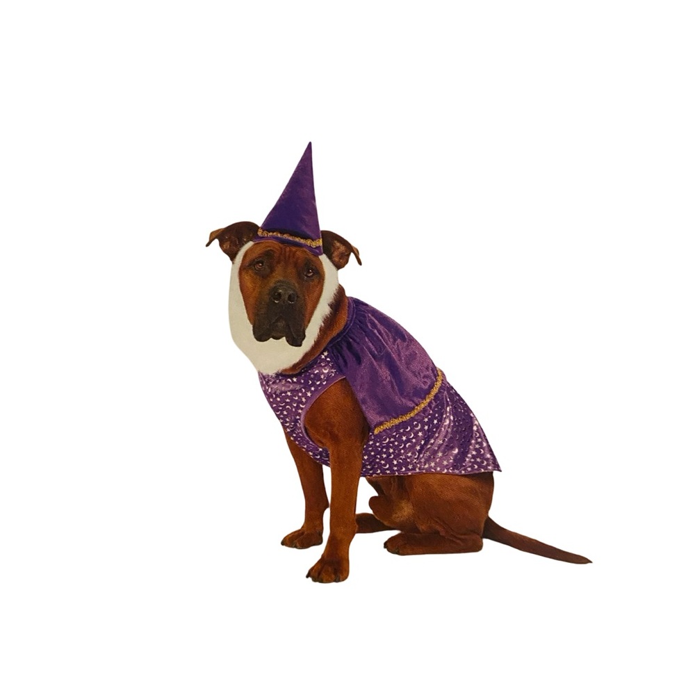 Mystical Purple Dog Wizard Outfit